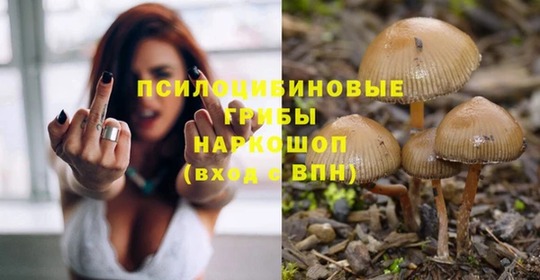 спайс Верея
