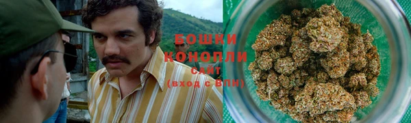 стафф Верхний Тагил