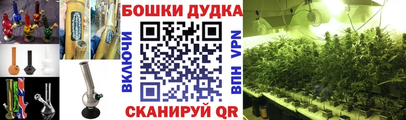 Купить закладки  Меленки  Каннабис Amnesia 